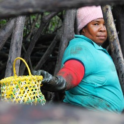 DESAFÍOS: A Wind of Change for Women and Youth in Rural Ecua ... Image 1