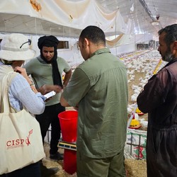 Multisectoral Intervention to Support Inclusive Education, H ... Image 6