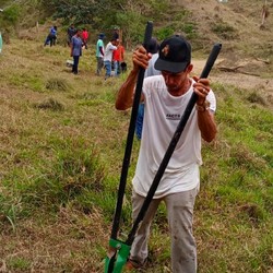 In Colombia una alianza para la restauración ecológica y la  ... Imagen 2