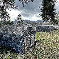 Roots of the Future – ROOF Image 9