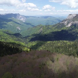 Blidinje Nature Park hosts first-ever 'Narcissus Fair' showc ... Image 1