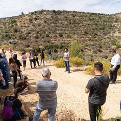 In Palestina l’inziativa Walk &amp; Talk riunisce i giovani per  ... Immagine 4