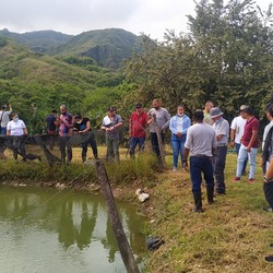 Development of fish farming with the cooperative of former c ... Image 1