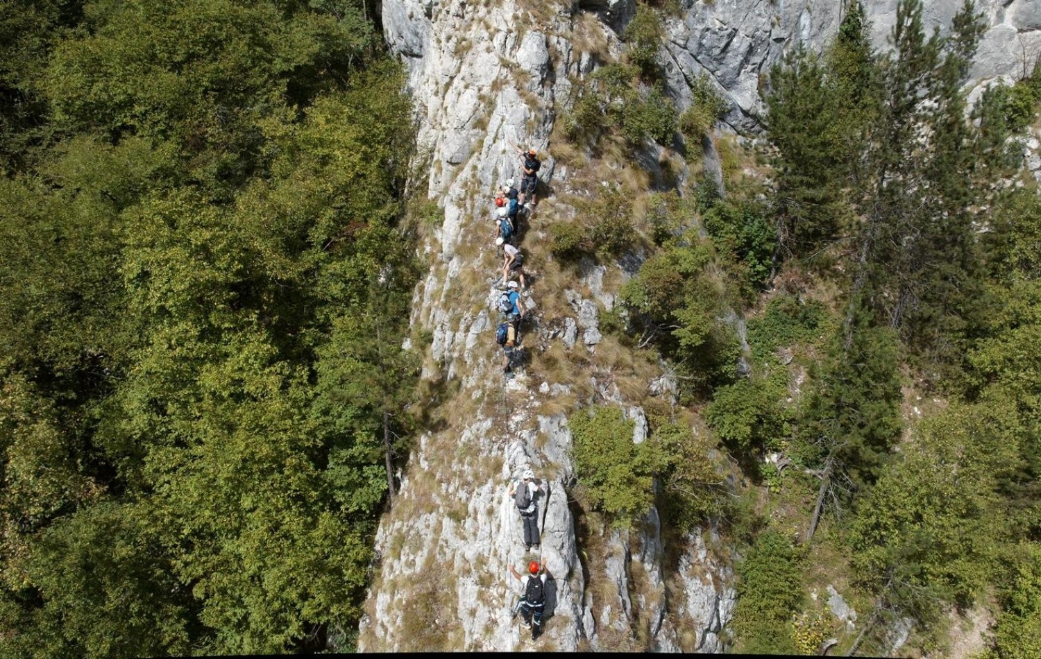 Celebrating World Environment Day with CISP in Bosnia and Herzegovina