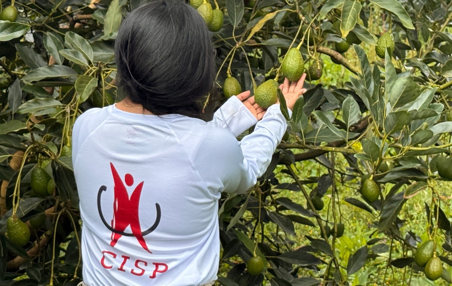 CISP in Colombia: Territorial Identity as a Catalyst for Agrarian Reform