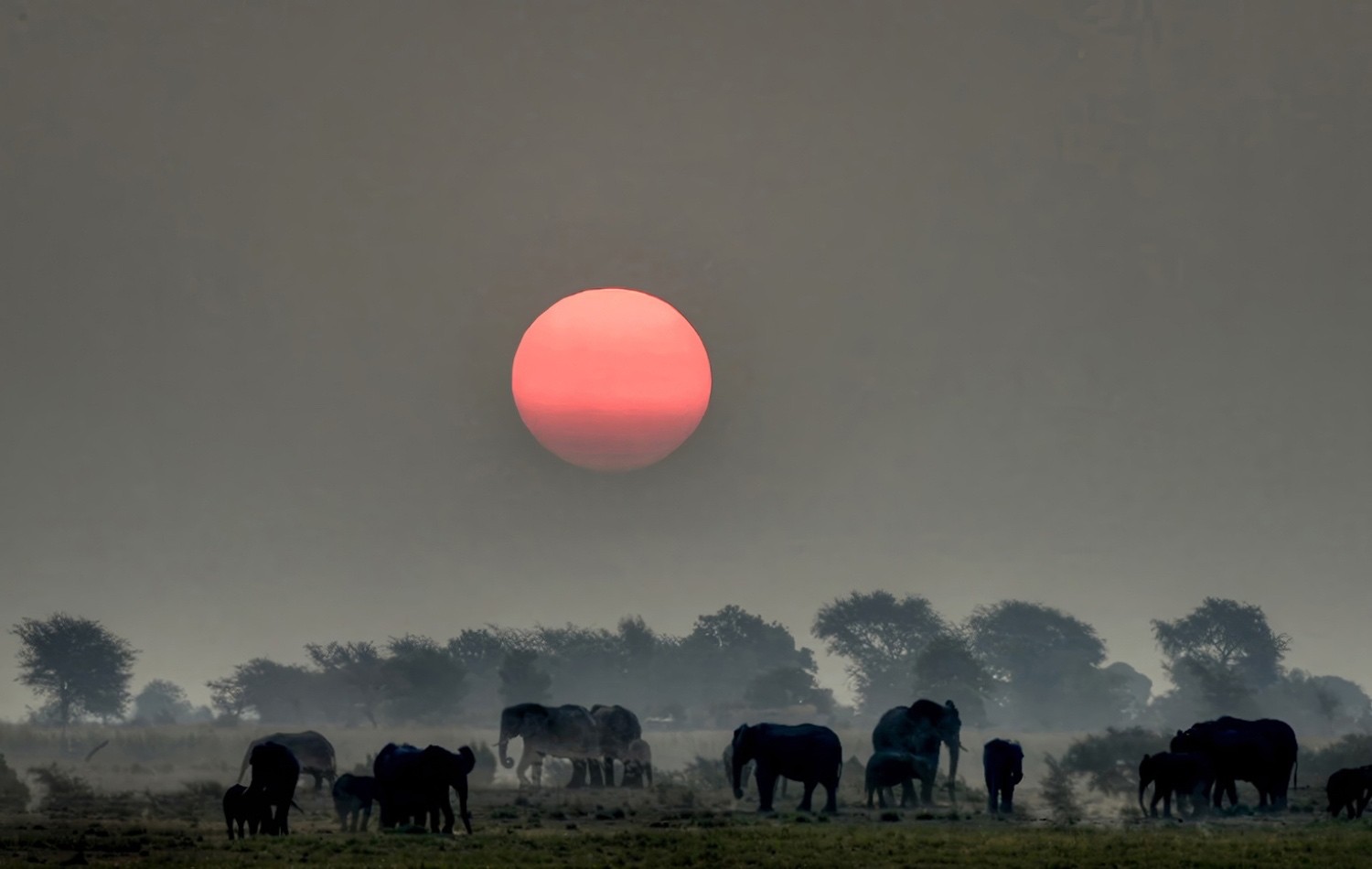 Wild Routes: Claudio Viezzoli’s Photography Exhibition in Rome Supporting Our Work in Ecuador