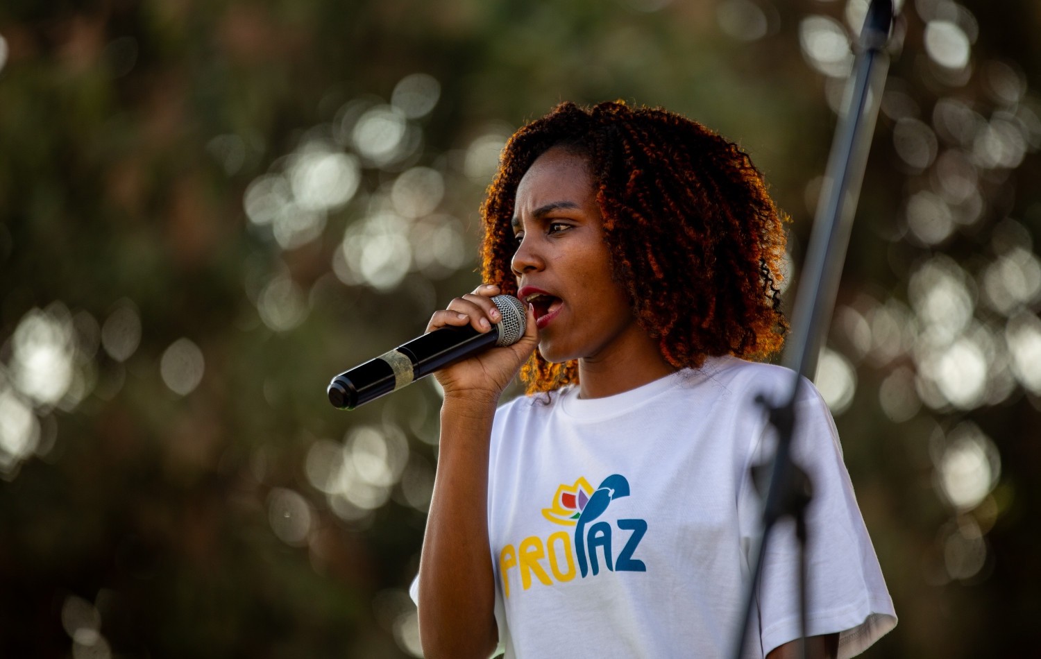 ROADSHOW – Arte e Cultura per la Pace e la Riconciliazione in Mozambico